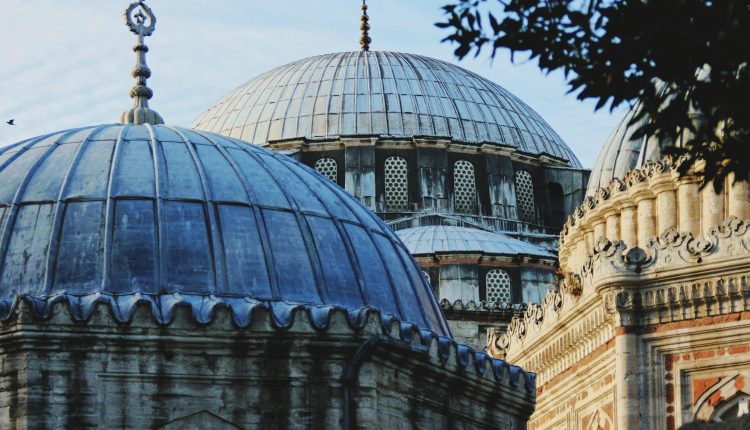 insan kaynaklari yonetimi ve isletme performansi iliskisi